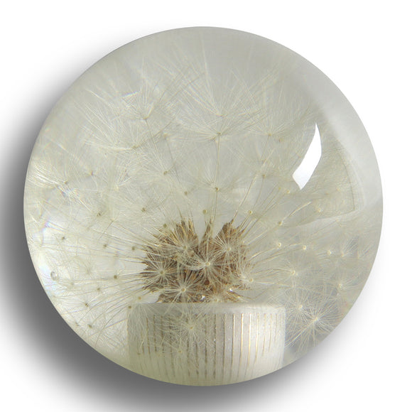 Universal 70MM Racing Crystal Ball Dandelion Real Flowers Shift Knob Shift Head