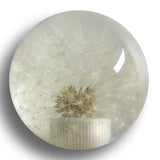 Universal 54MM Racing Crystal Ball Dandelion Real Flowers Shift Knob Shift Head