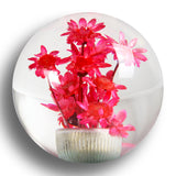JDM 54mm Real Flower Round Ball Manual Auto Gear Stick Shift Knob Lever Shifter