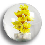 JDM 54mm Real Flower Round Ball Manual Auto Gear Stick Shift Knob Lever Shifter